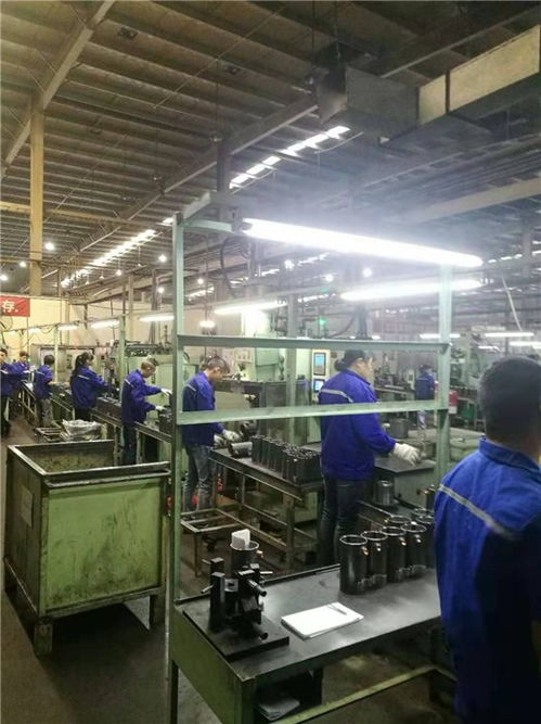 安徽錦卓人力資源 專(zhuān)業(yè)勞務(wù)派遣服務(wù)助力蕪湖企業(yè)高效發(fā)展